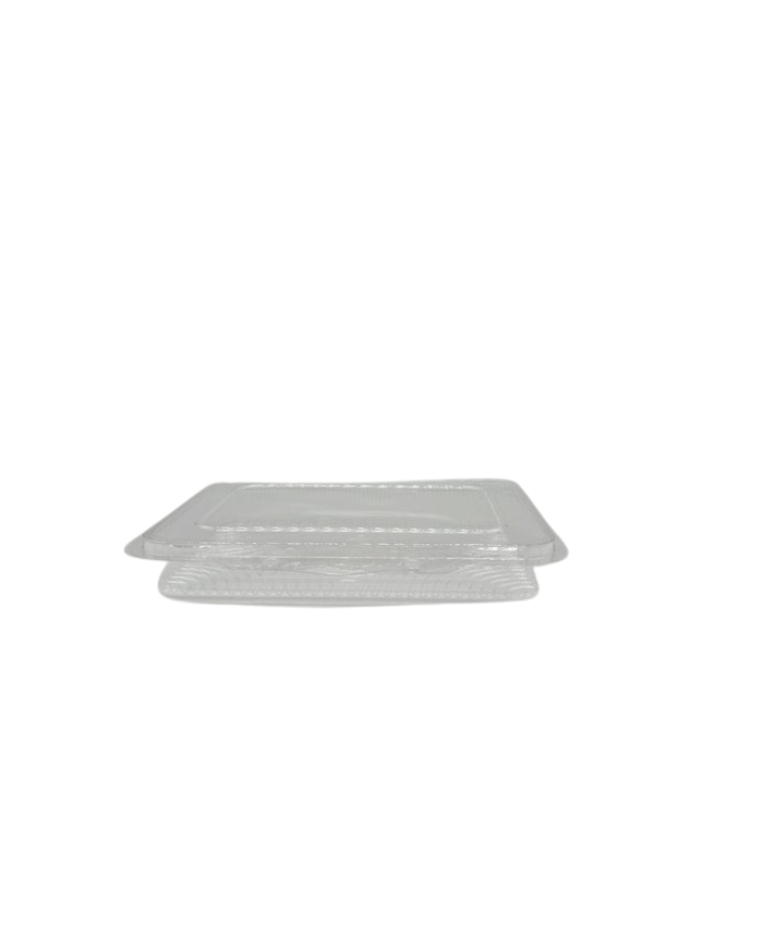 VASCHETTE SF RETT. PIATTE 250GR PET PZ 100