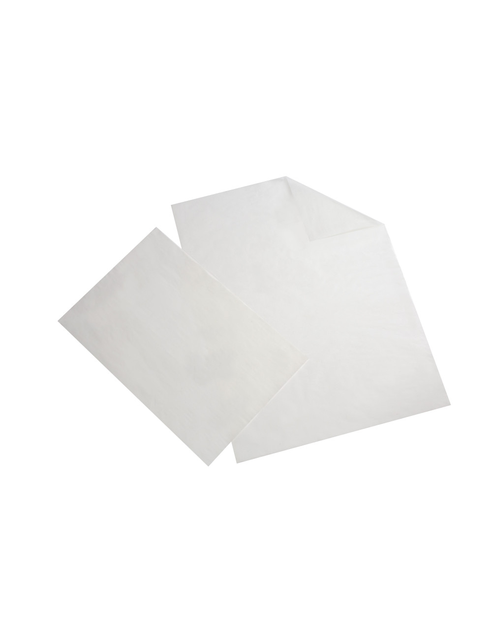CARTA PERGAMINO 25X37 KG 5
