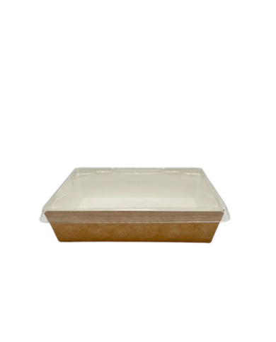 CONTENITORI IN CARTONCINO 164/152X77/65X59 PZ50