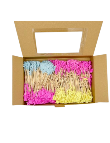 STUZZICADENTI CON FRILL COL. ASSOR. 100 MM PZ1000