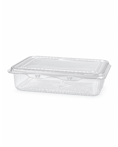 VASCHETTE SF RETT. PIATTE 500GR PET PZ100