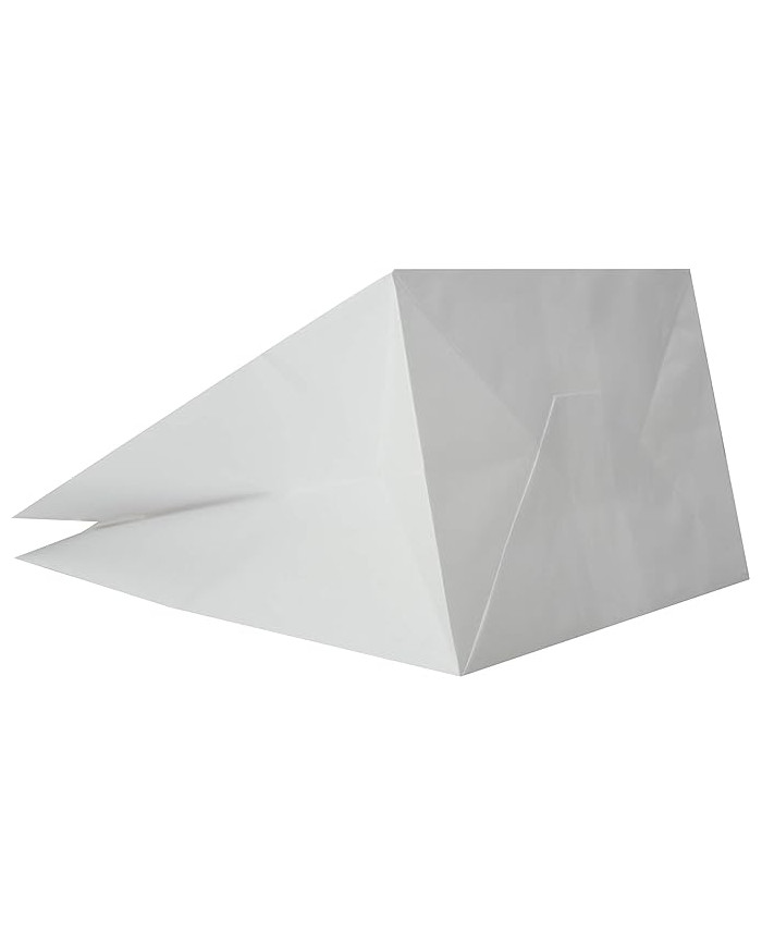 BUSTE IN CARTA BIANCO TAKE AWAY 32+17X29 PZ 25